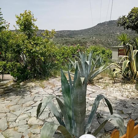 Giola Aparments And Studios 2 Αστρίδα Εξωτερικό φωτογραφία