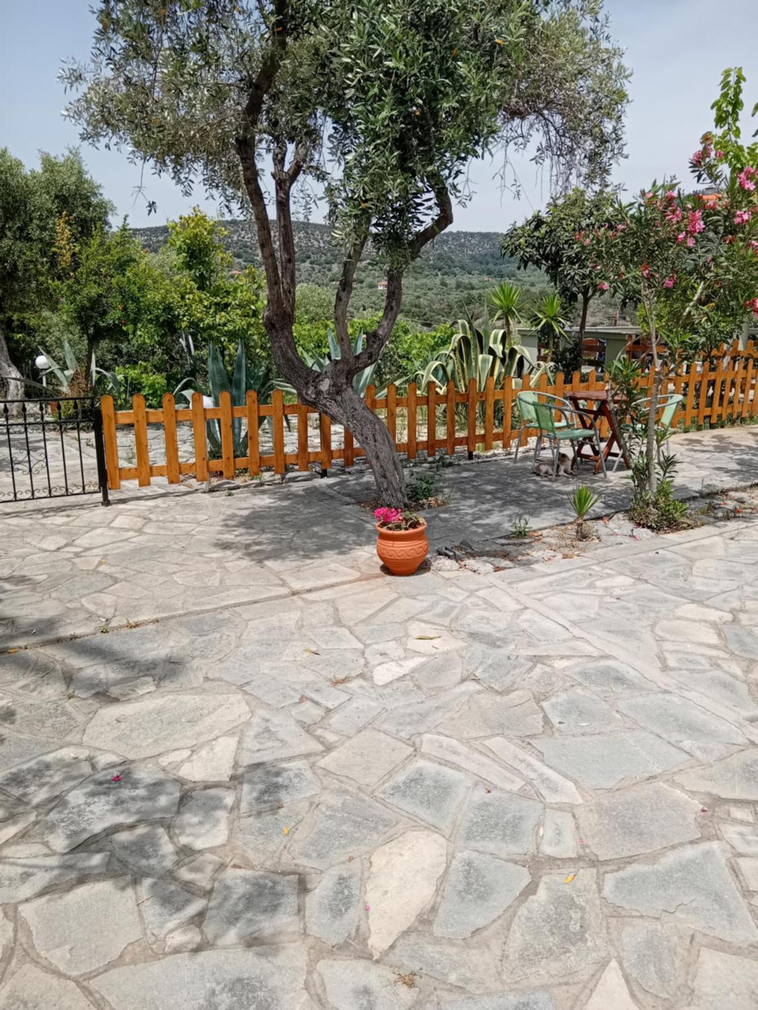 Giola Aparments And Studios 2 Αστρίδα Εξωτερικό φωτογραφία